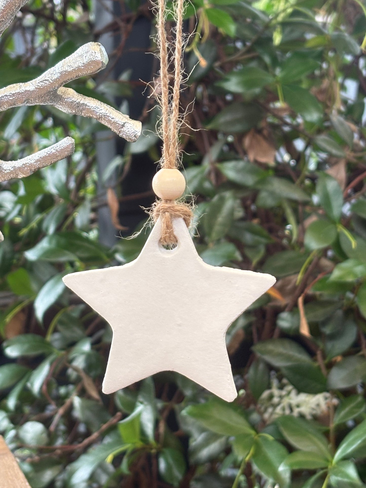 Christmas decoration - large star  $5